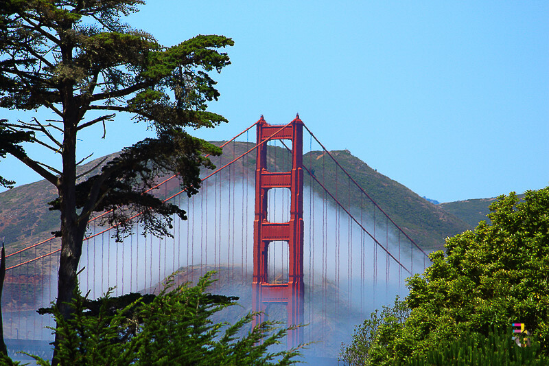 A Journey Of Colour - Golden Gate Through Fog Photo
