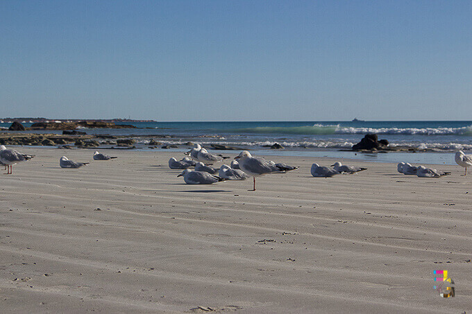 Cable Beach, Western Australia