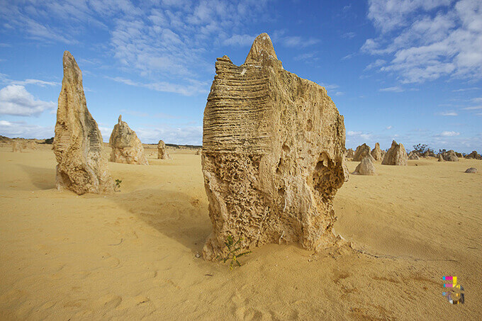 Pinnacles, Western Australia