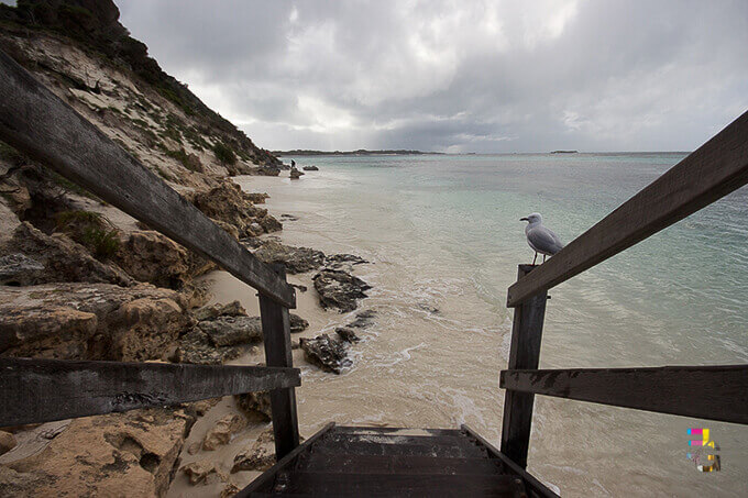 Rottnest Island, Western Australia