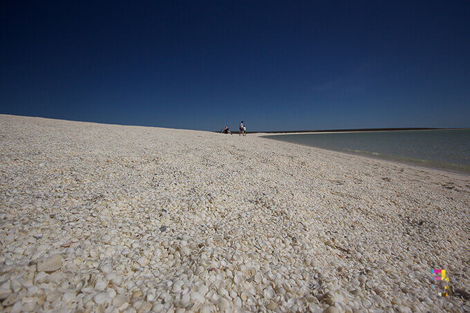 Shell Beach, Western Australia