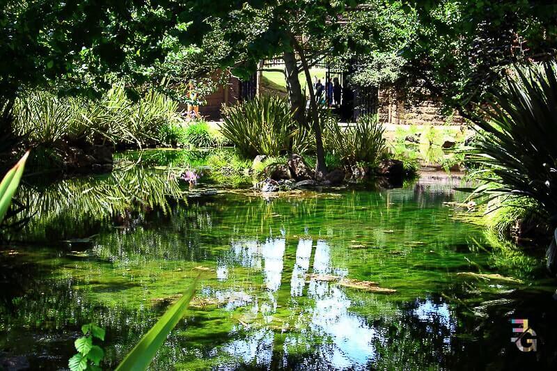 Golden Gate Park, San Francisco