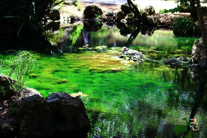 Golden Gate Park, San Francisco