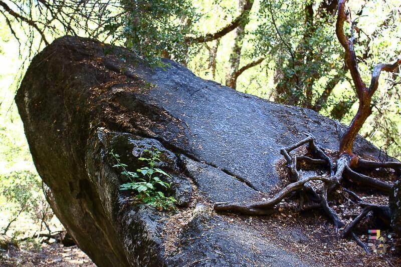 Yosemite National Park, California