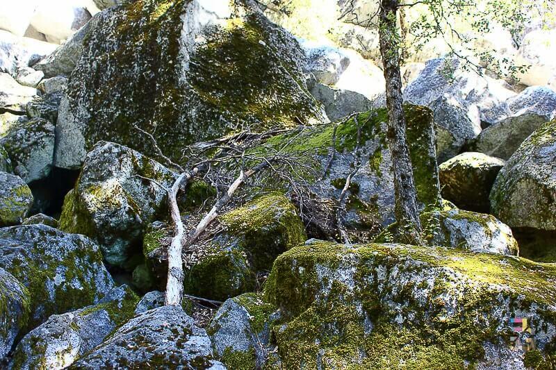 Yosemite National Park, California