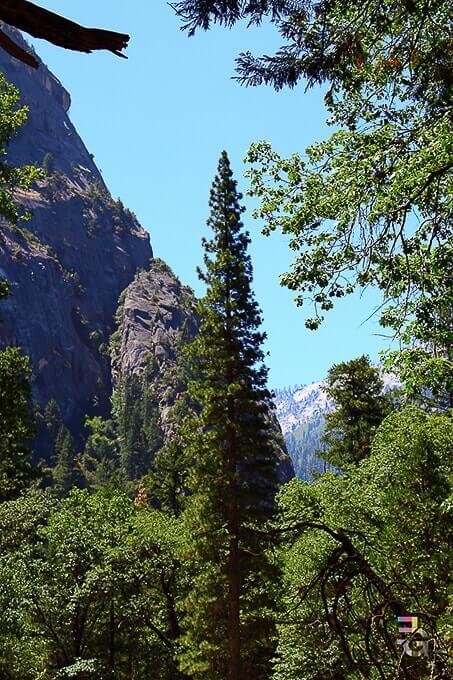 Yosemite National Park, California