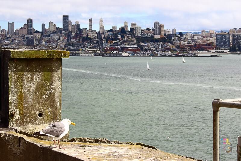 Alcatraz, San Francisco